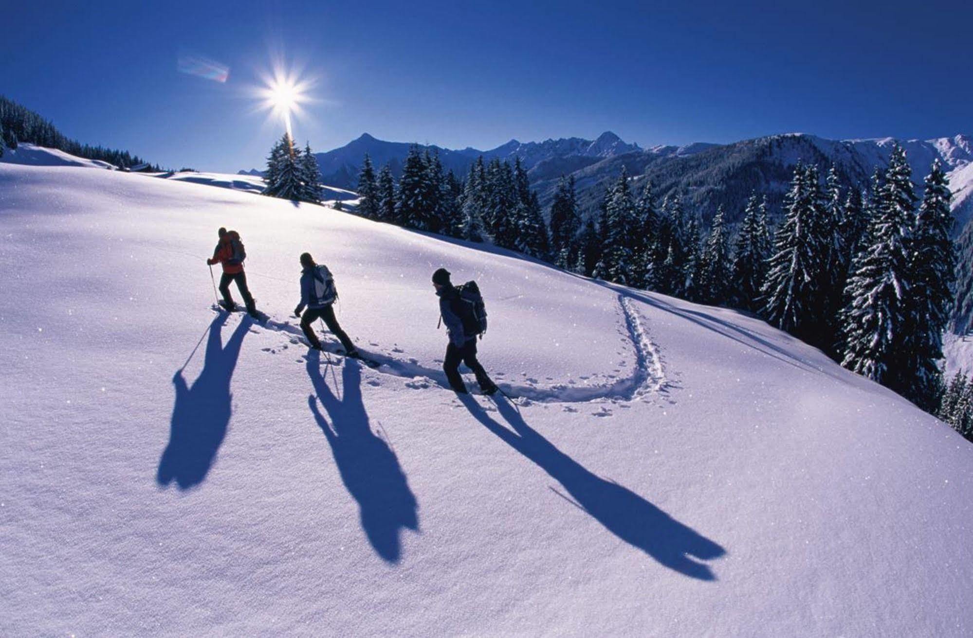 Hotel Alpina Ried im Zillertal Eksteriør billede